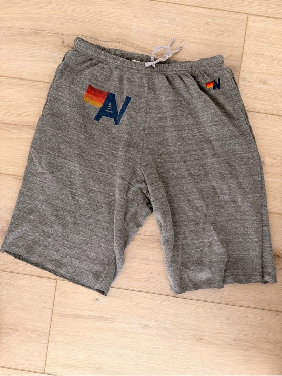Aviator Nation Other - Aviator Nation Gray Sweatshorts with Retro Orange Logo
